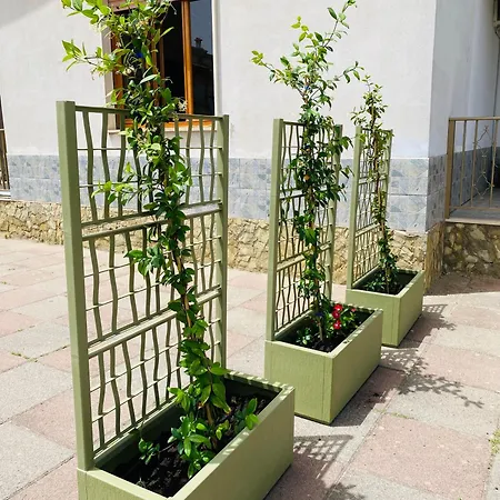 Chiru-guest House Casa vacanze